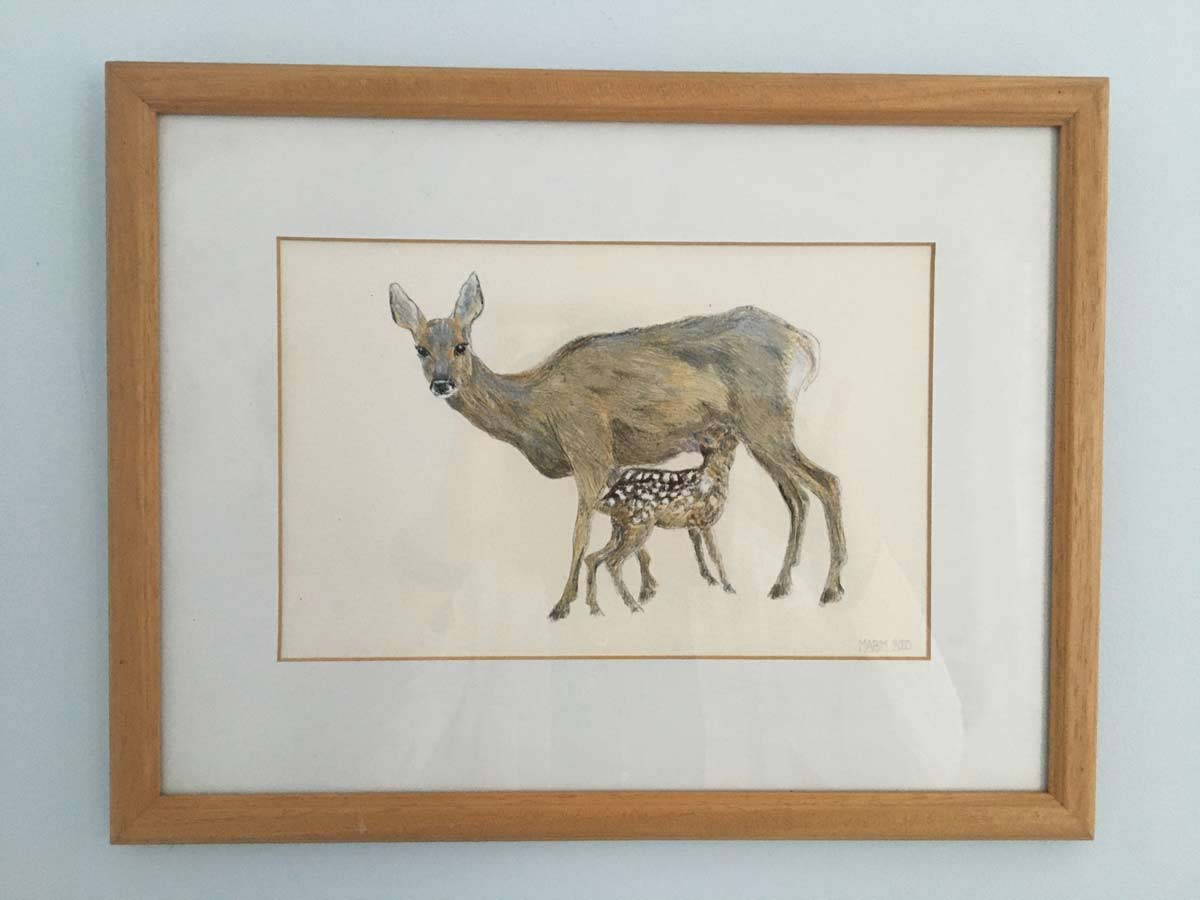 Roe Deer by Minette Bell Macdonald